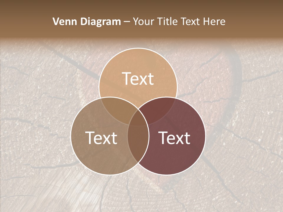 Graphic Appearance Illustration PowerPoint Template