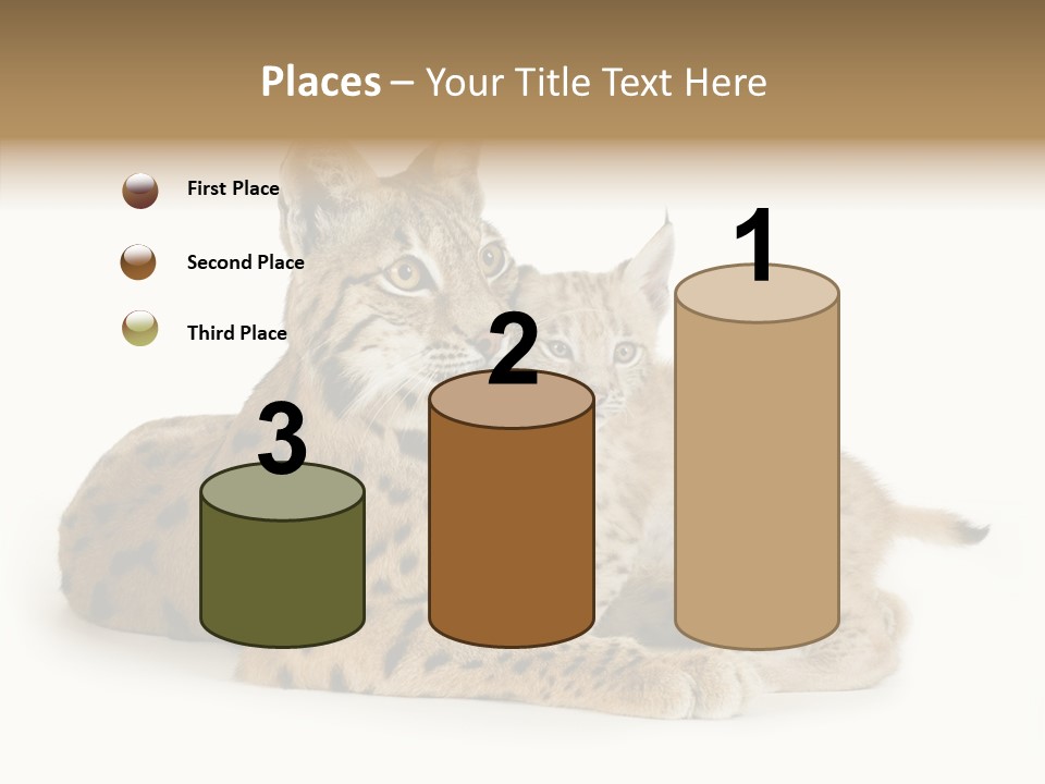 Tenderness Nocturnal Whisker PowerPoint Template