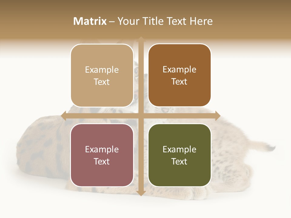 Tenderness Nocturnal Whisker PowerPoint Template