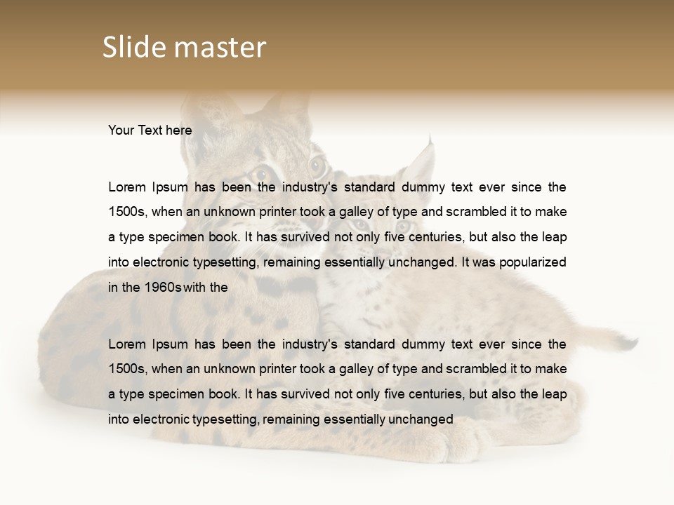 Tenderness Nocturnal Whisker PowerPoint Template