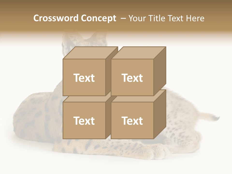 Tenderness Nocturnal Whisker PowerPoint Template
