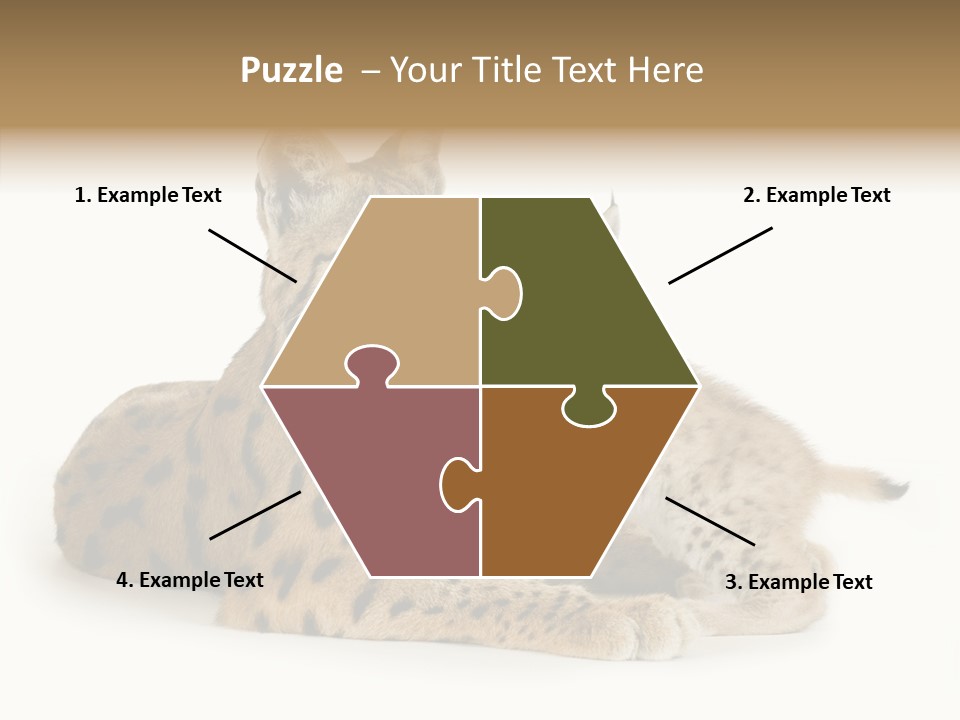 Tenderness Nocturnal Whisker PowerPoint Template