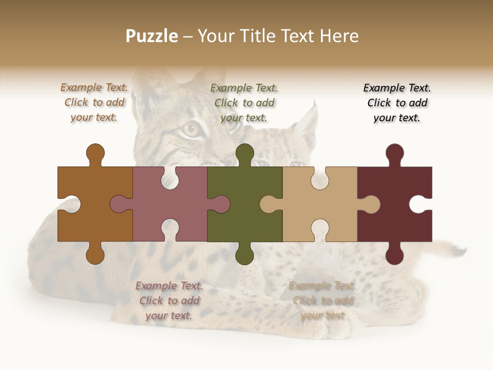 Tenderness Nocturnal Whisker PowerPoint Template