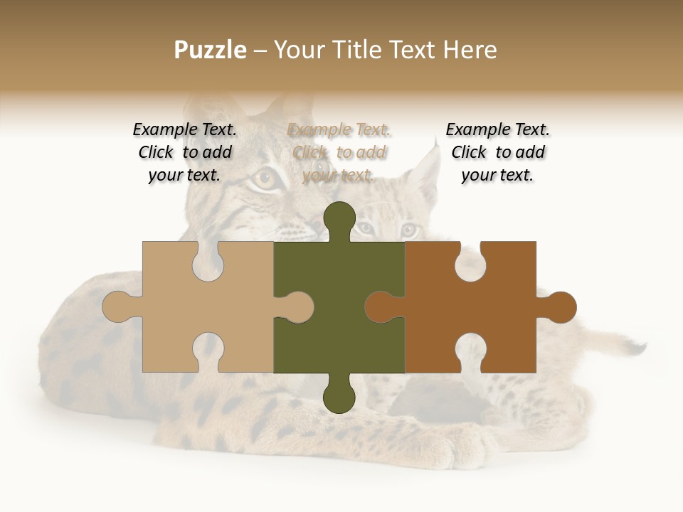 Tenderness Nocturnal Whisker PowerPoint Template