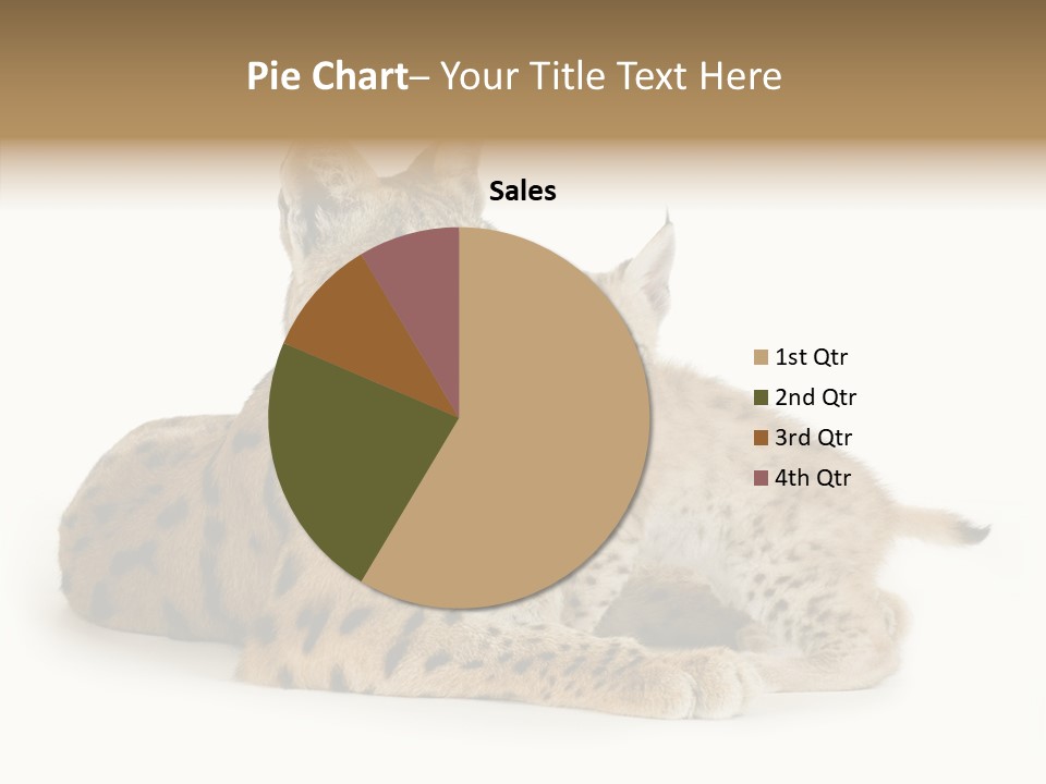 Tenderness Nocturnal Whisker PowerPoint Template