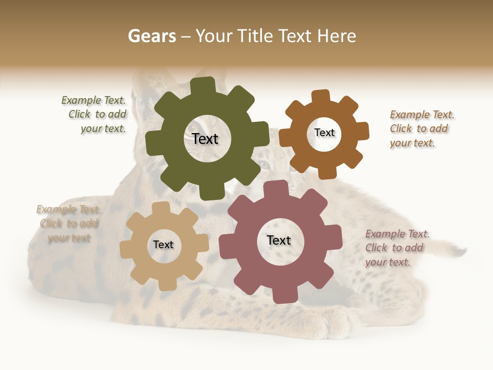 Tenderness Nocturnal Whisker PowerPoint Template