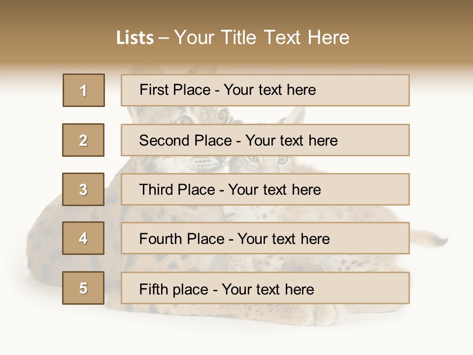 Tenderness Nocturnal Whisker PowerPoint Template