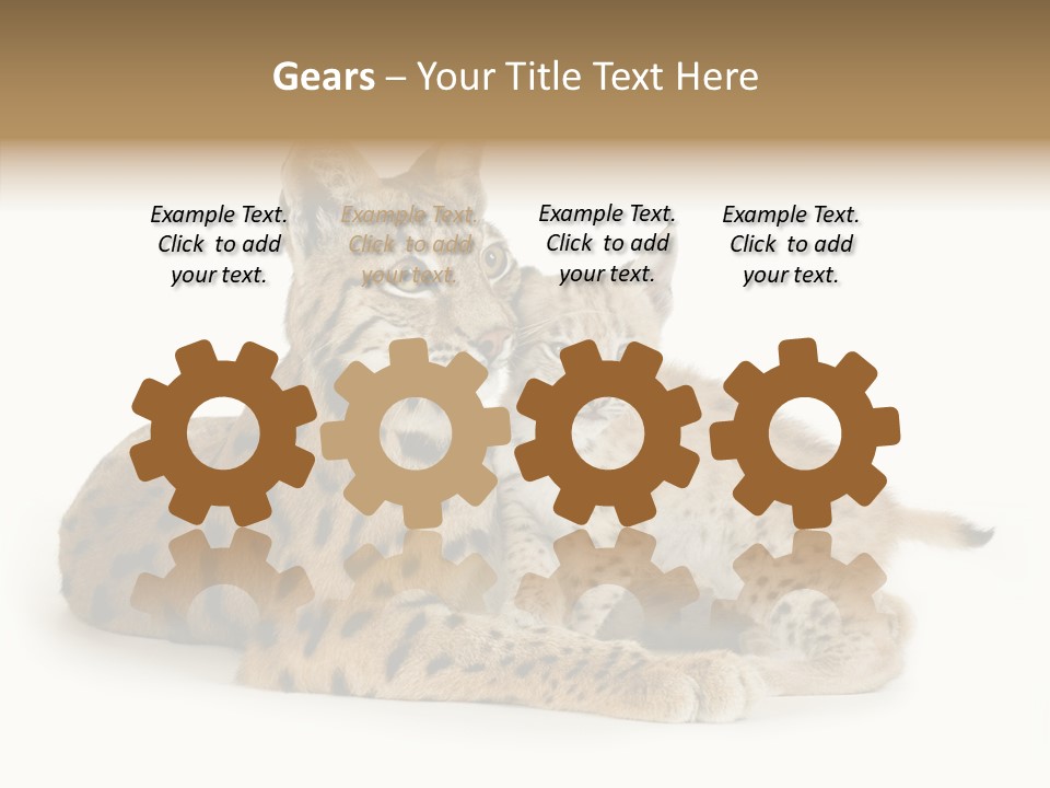 Tenderness Nocturnal Whisker PowerPoint Template