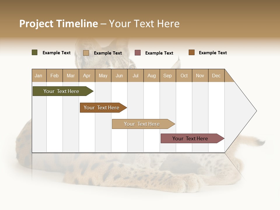 Tenderness Nocturnal Whisker PowerPoint Template