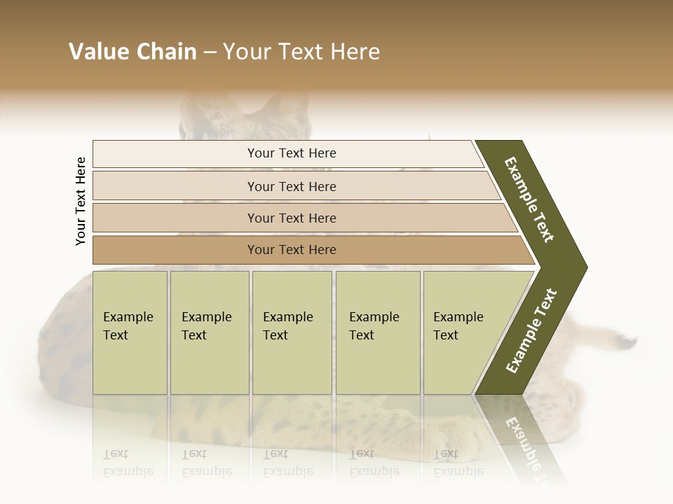 Tenderness Nocturnal Whisker PowerPoint Template