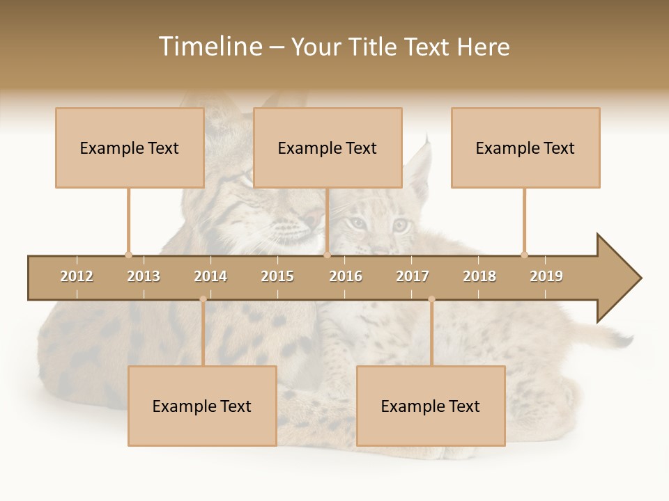 Tenderness Nocturnal Whisker PowerPoint Template