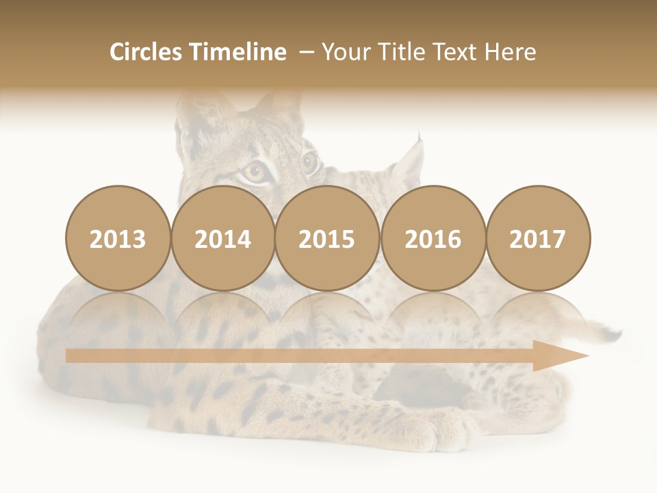 Tenderness Nocturnal Whisker PowerPoint Template