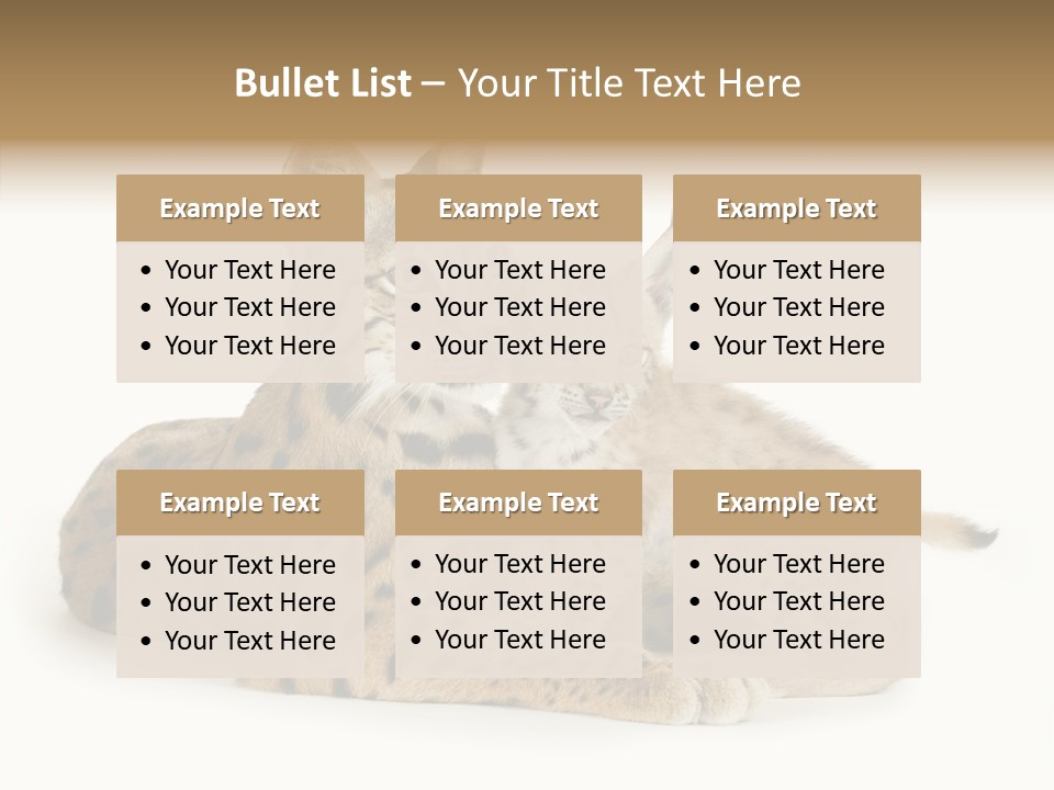 Tenderness Nocturnal Whisker PowerPoint Template