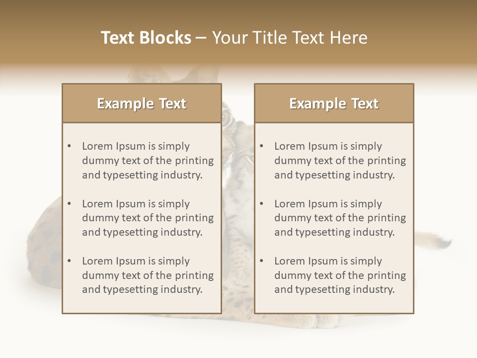 Tenderness Nocturnal Whisker PowerPoint Template