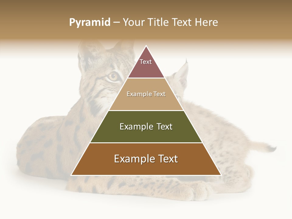 Tenderness Nocturnal Whisker PowerPoint Template