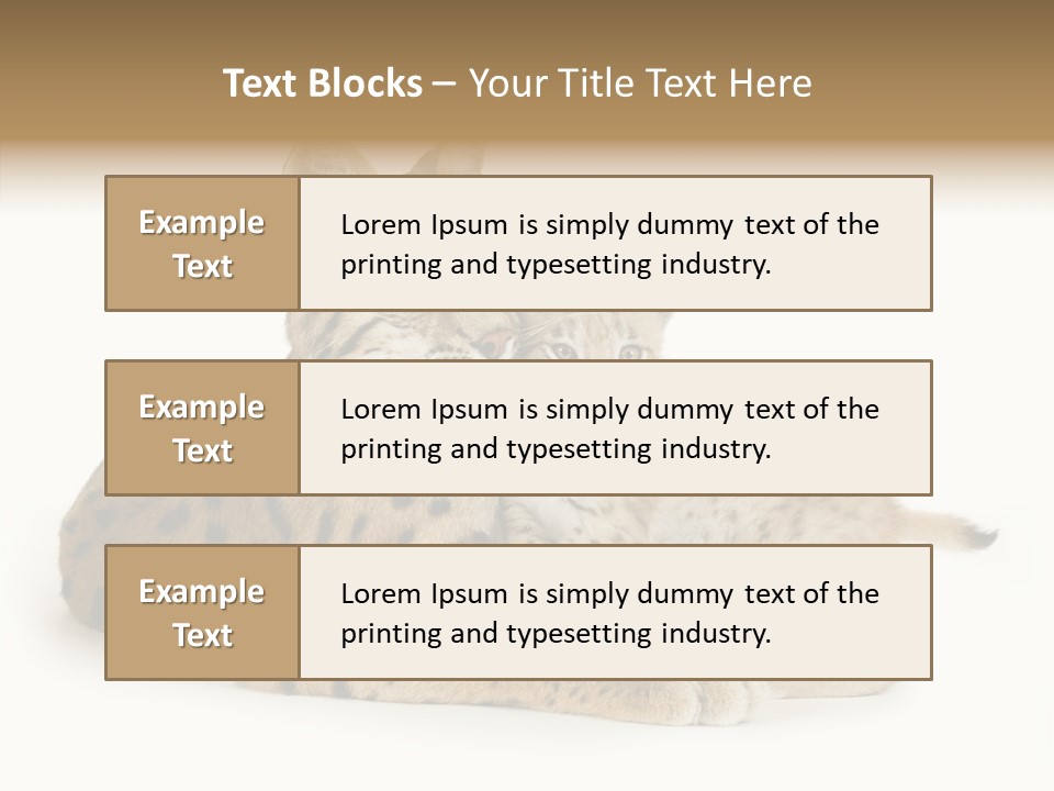 Tenderness Nocturnal Whisker PowerPoint Template
