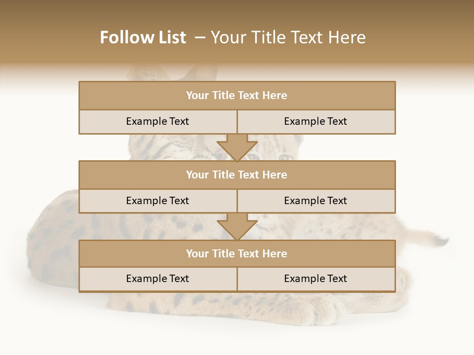 Tenderness Nocturnal Whisker PowerPoint Template