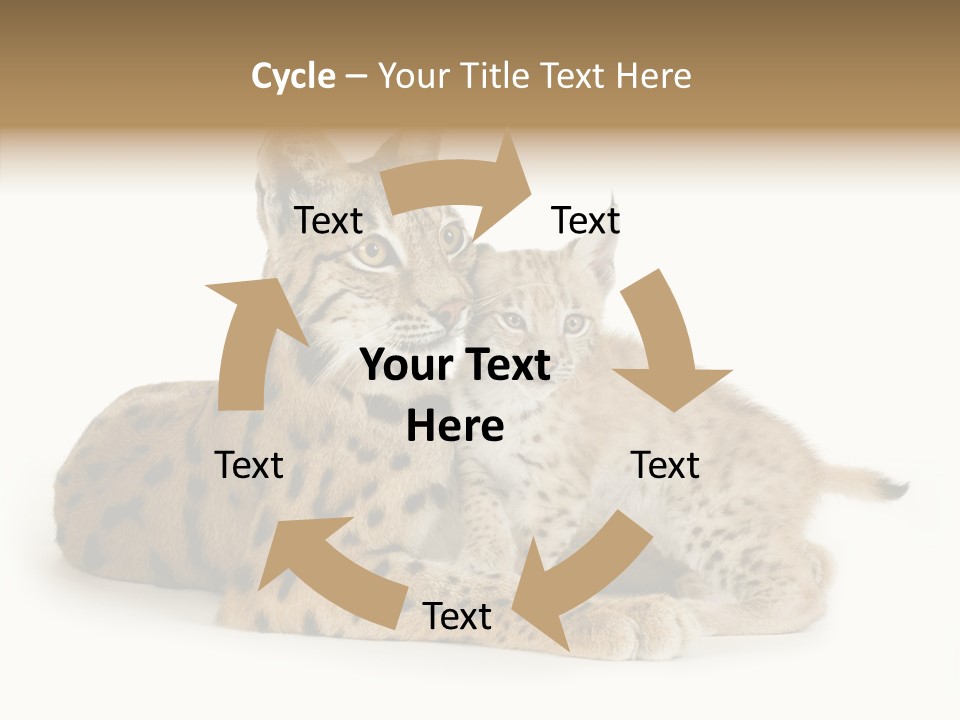 Tenderness Nocturnal Whisker PowerPoint Template