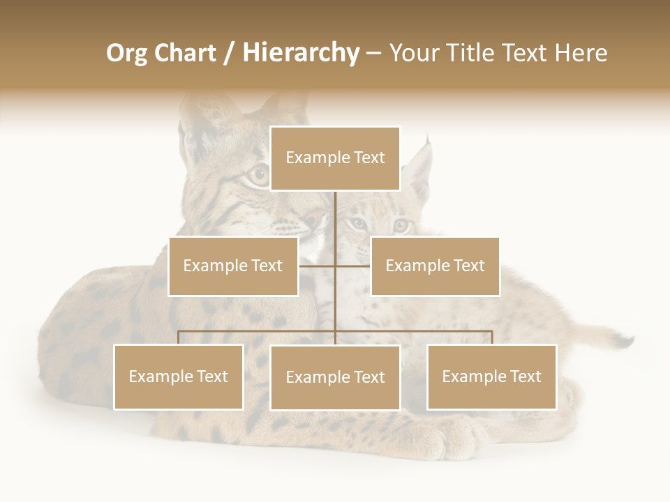 Tenderness Nocturnal Whisker PowerPoint Template