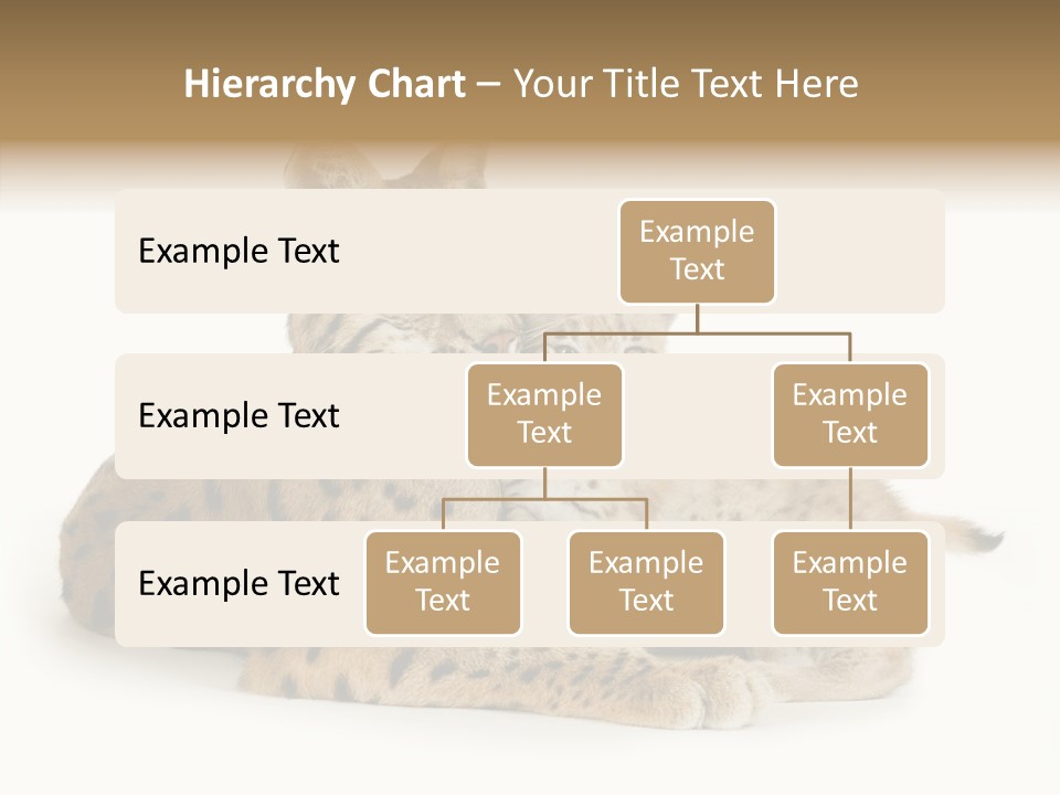 Tenderness Nocturnal Whisker PowerPoint Template