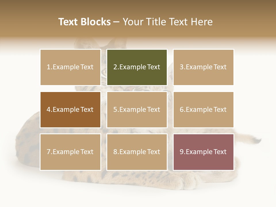 Tenderness Nocturnal Whisker PowerPoint Template