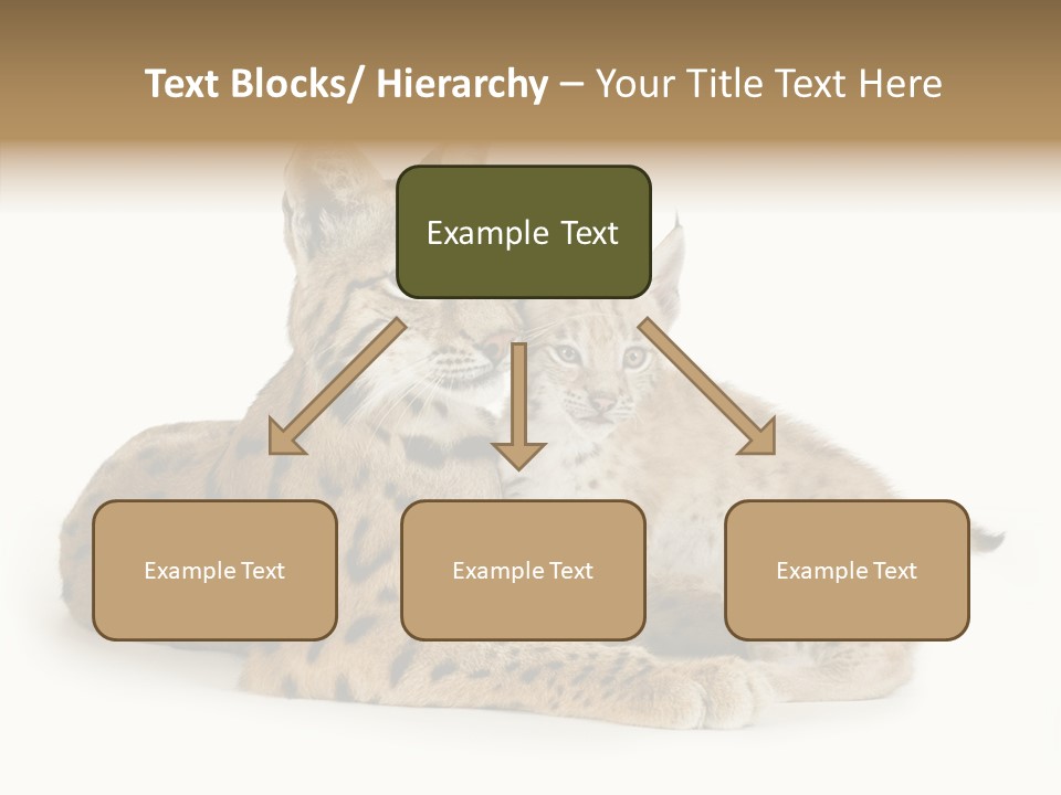 Tenderness Nocturnal Whisker PowerPoint Template