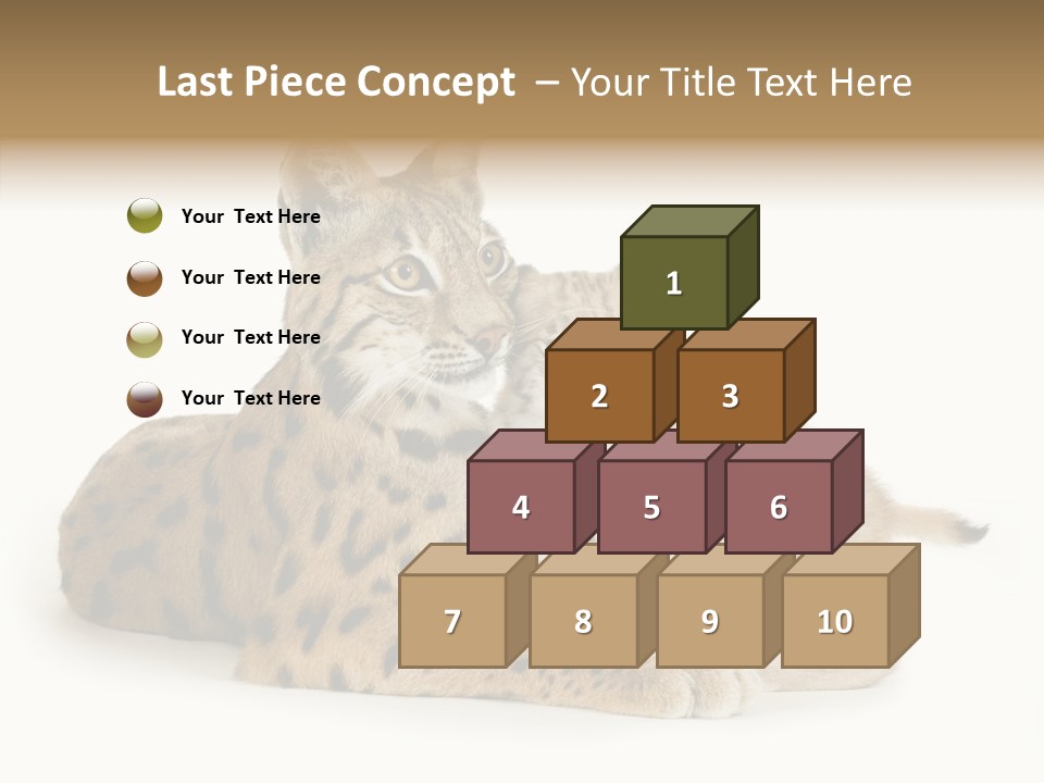 Tenderness Nocturnal Whisker PowerPoint Template