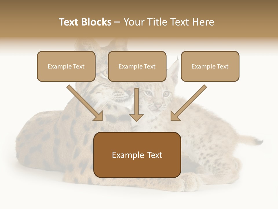 Tenderness Nocturnal Whisker PowerPoint Template