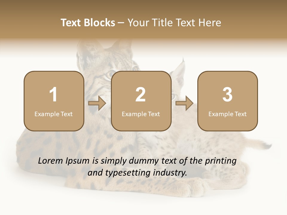 Tenderness Nocturnal Whisker PowerPoint Template