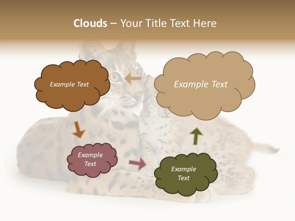 Tenderness Nocturnal Whisker PowerPoint Template