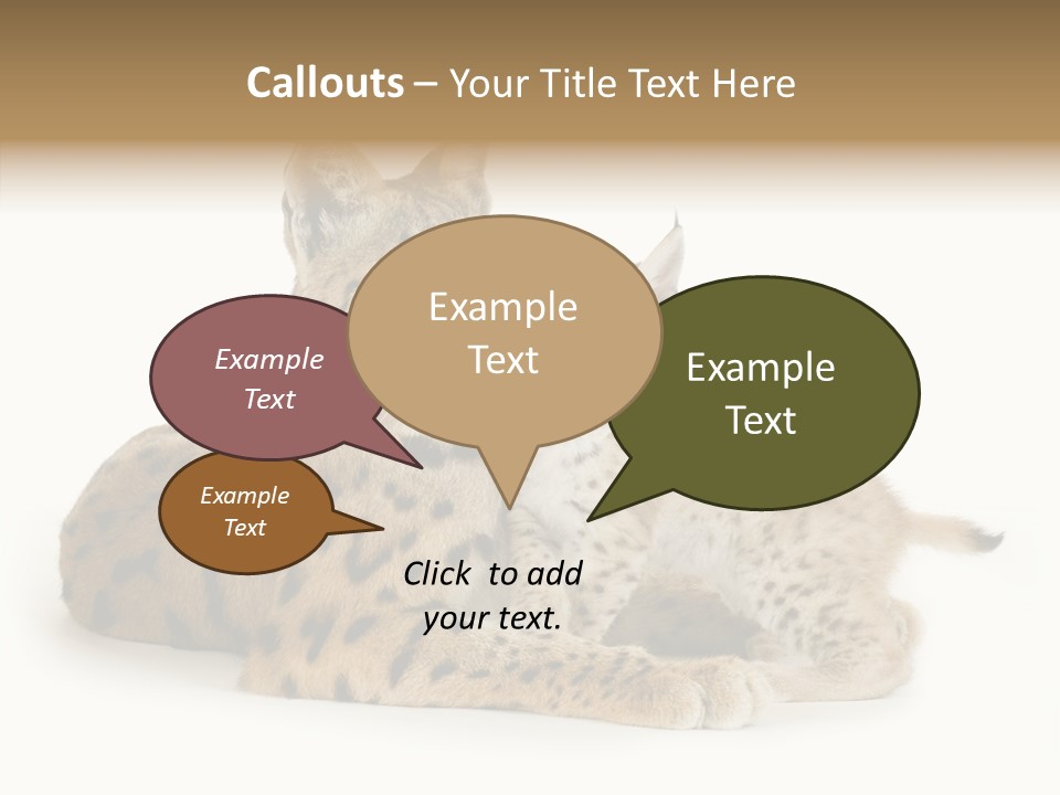 Tenderness Nocturnal Whisker PowerPoint Template