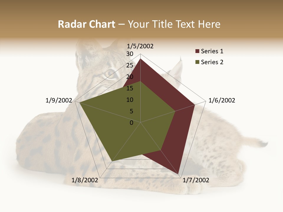 Tenderness Nocturnal Whisker PowerPoint Template