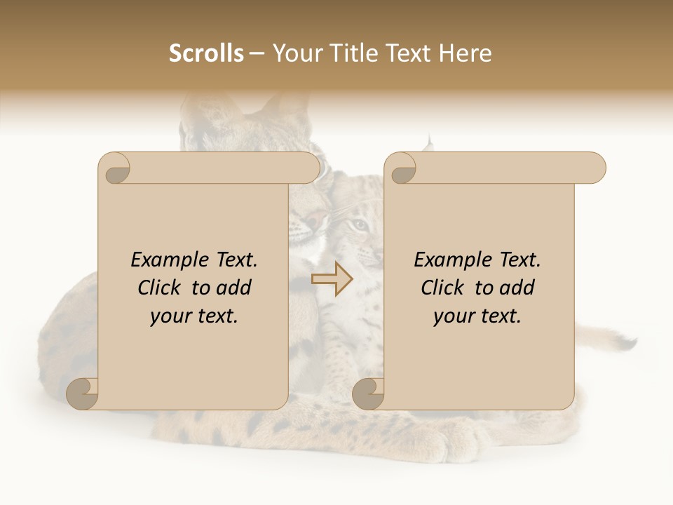 Tenderness Nocturnal Whisker PowerPoint Template