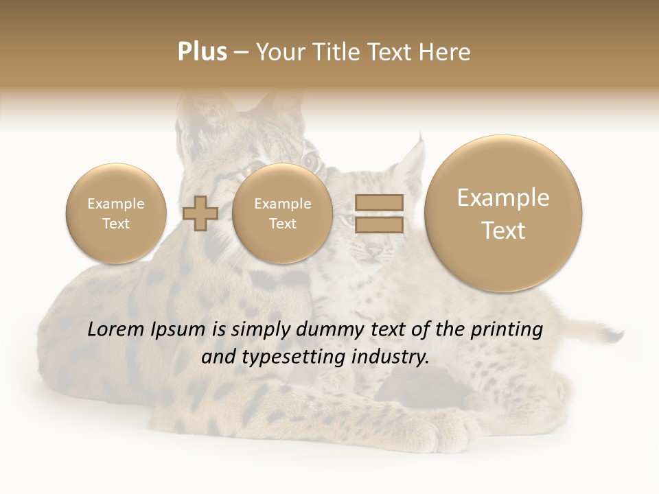 Tenderness Nocturnal Whisker PowerPoint Template