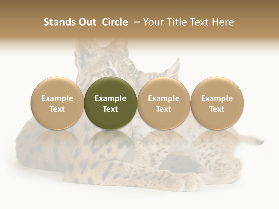 Tenderness Nocturnal Whisker PowerPoint Template