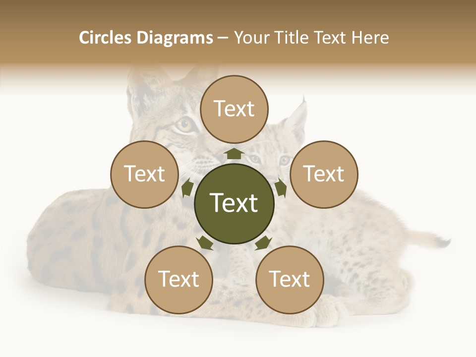 Tenderness Nocturnal Whisker PowerPoint Template