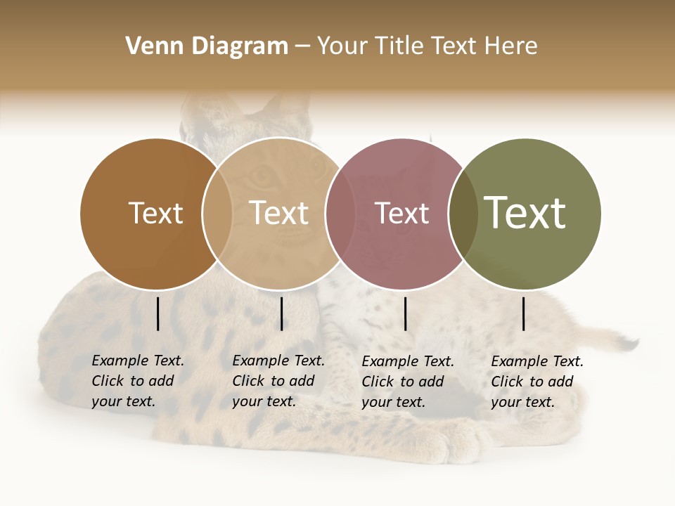 Tenderness Nocturnal Whisker PowerPoint Template