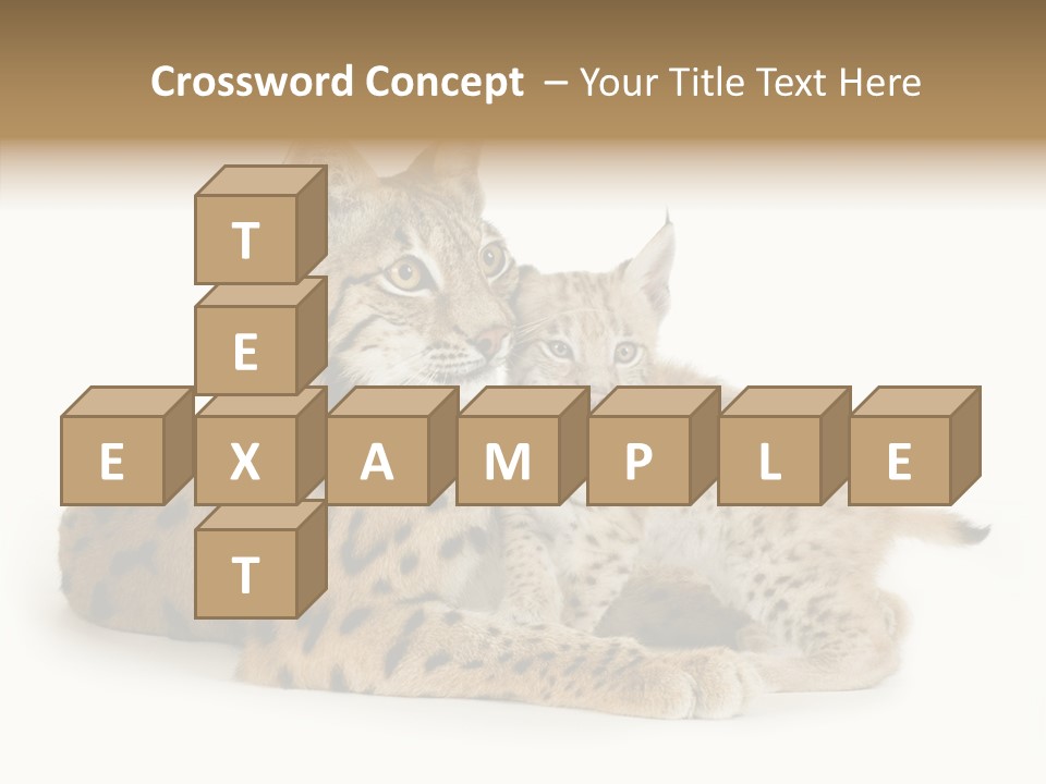 Tenderness Nocturnal Whisker PowerPoint Template