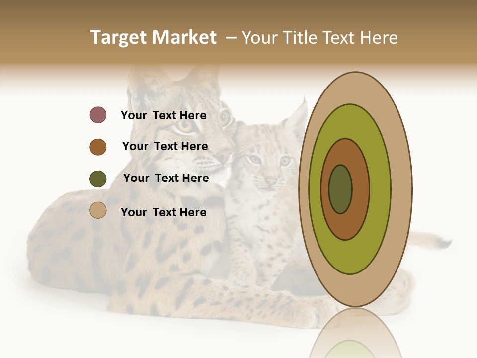 Tenderness Nocturnal Whisker PowerPoint Template