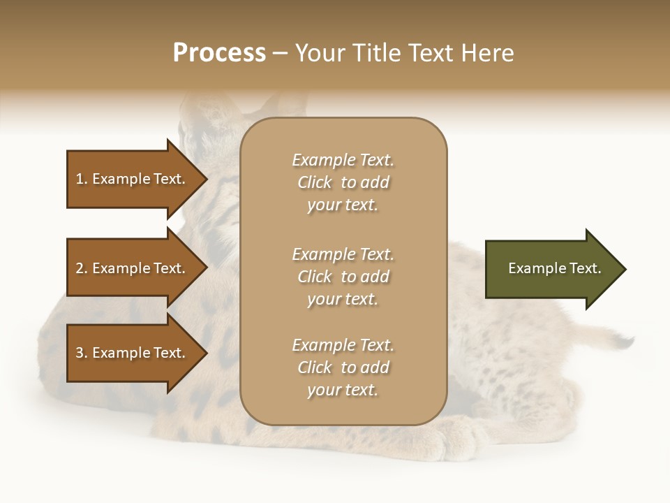 Tenderness Nocturnal Whisker PowerPoint Template