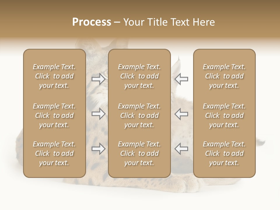 Tenderness Nocturnal Whisker PowerPoint Template