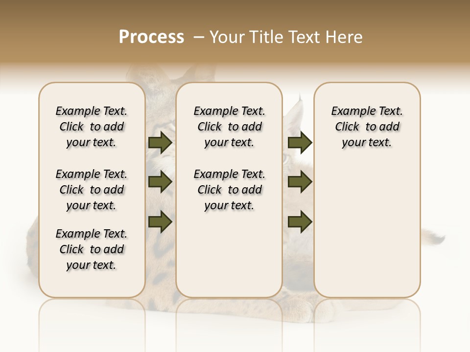 Tenderness Nocturnal Whisker PowerPoint Template
