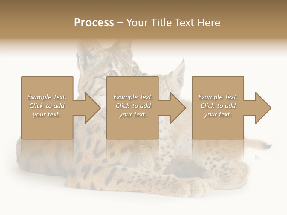 Tenderness Nocturnal Whisker PowerPoint Template