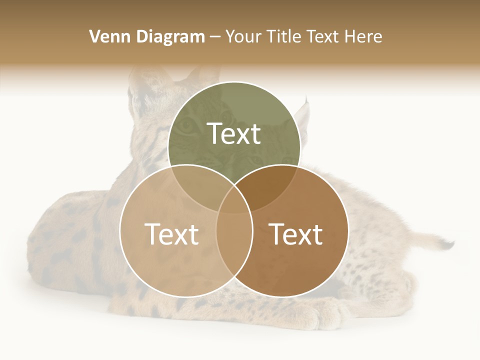 Tenderness Nocturnal Whisker PowerPoint Template