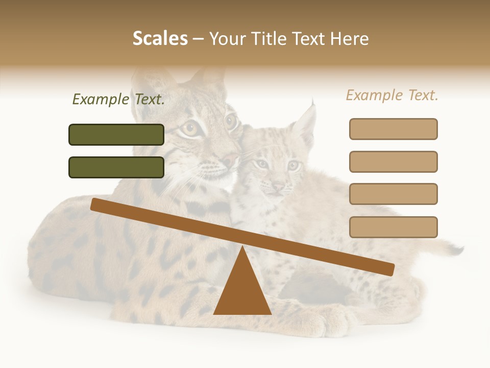 Tenderness Nocturnal Whisker PowerPoint Template