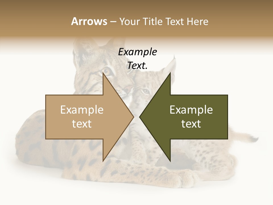 Tenderness Nocturnal Whisker PowerPoint Template