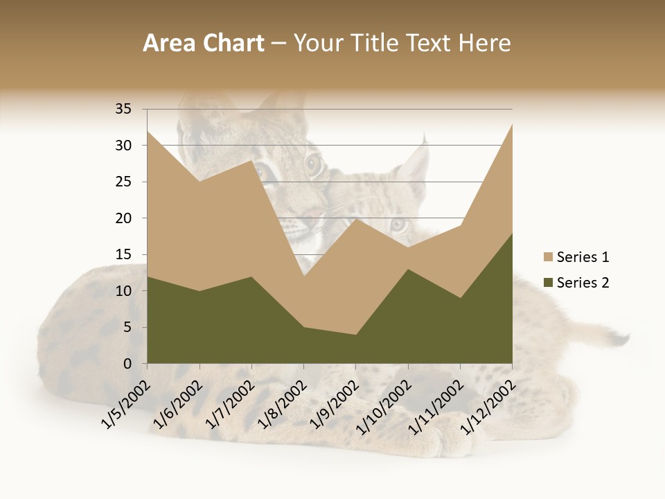 Tenderness Nocturnal Whisker PowerPoint Template