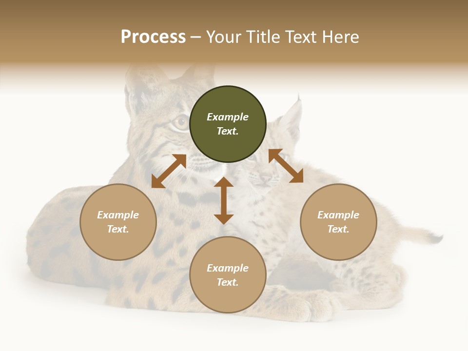 Tenderness Nocturnal Whisker PowerPoint Template