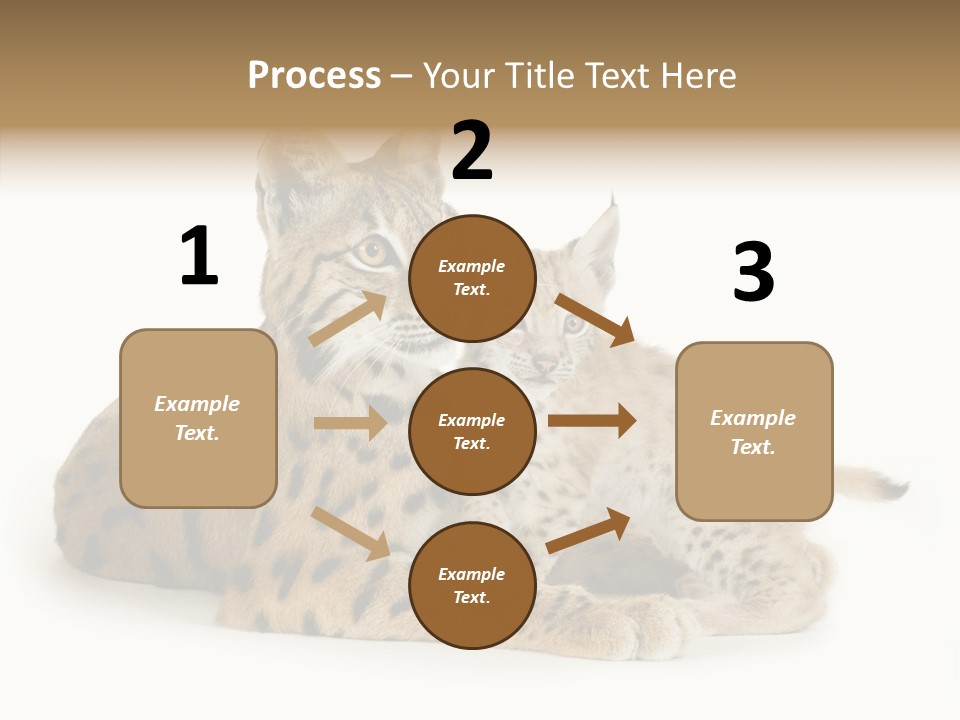 Tenderness Nocturnal Whisker PowerPoint Template