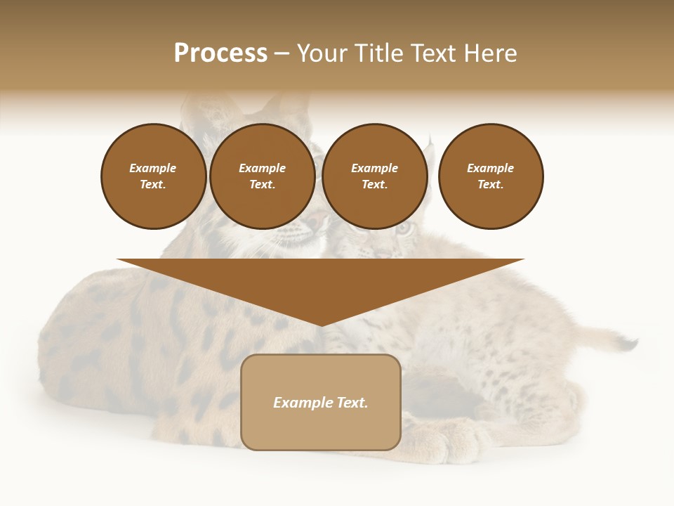 Tenderness Nocturnal Whisker PowerPoint Template